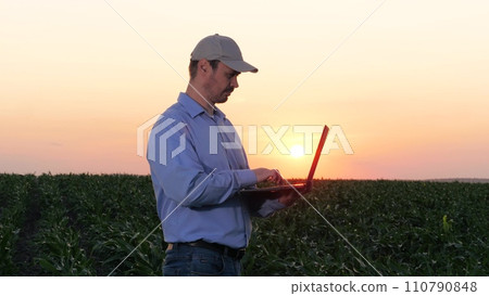 Agricultural expert with laptop in hand evaluates progress of maize growth 110790848