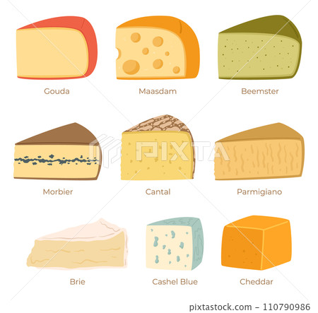 Cheese Collection Isolated on White Background. Gouda, Maasdam, Beemster, Morbier And Cantal. Parmigiano, Brie 110790986