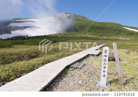 白山彌陀原和御前峰 白山彌陀原和御前峰 110791618