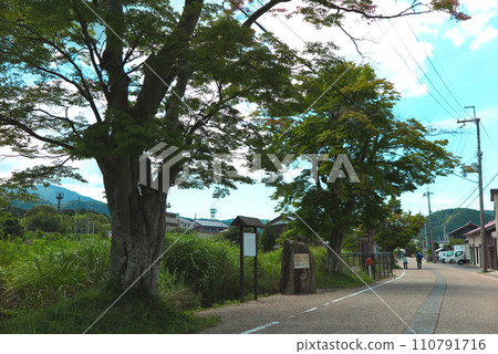 中山道的柏原宿,老路旁的一棵大樹和資訊標誌 中山道的柏原宿,老路旁的一棵大樹和資訊標誌 110791716