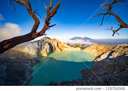 Deadwood Leafless Tree with Turquoise Water Lake,Beautiful nature Landscape mountain and green lake at Kawah Ijen volcano,East Java, Indonesia Deadwood Leafless Tree with Turquoise Water Lake,Beautiful nature Landscape mountain and green lake at Kawah Ijen volcano,East Java, Indonesia 110792088