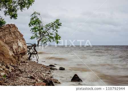 Tree on the rocky shore at stormy day 110792944