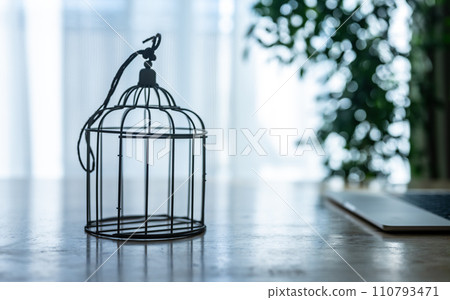 empty bird cage 110793471