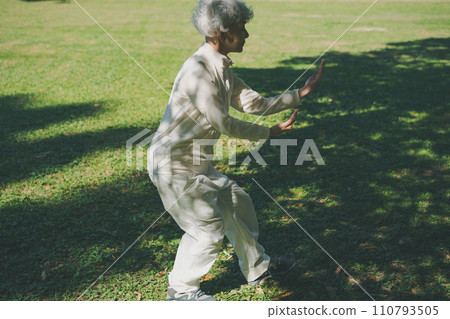 senior tai chi 110793505