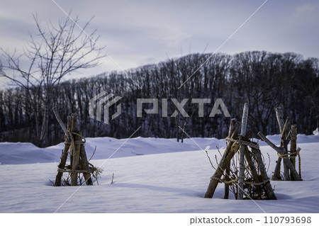 Trees covered with snow 110793698