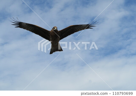 A kite flying in the blue sky 110793699