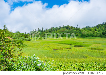 Climbing Mt. Hiuchi in summer (Takaya Pond) 110794712