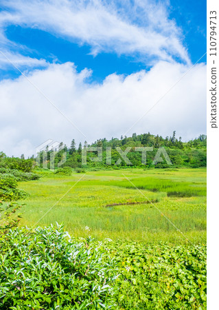 Climbing Mt. Hiuchi in summer (Takaya Pond) 110794713
