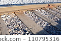 Railroad tracks 110795316