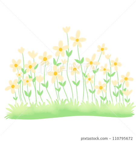 grass with yellow flowers decoration garden 110795672