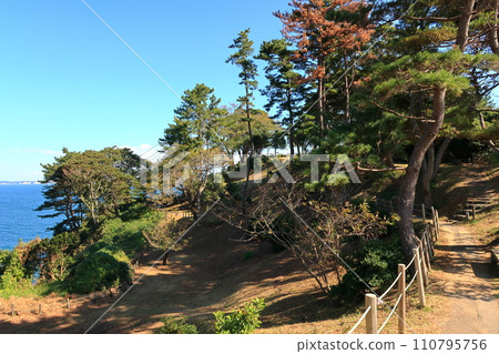 剛羅岬公園風景 剛羅岬公園風景 110795756