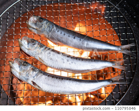 整條沙丁魚乾 整條沙丁魚乾 110795846
