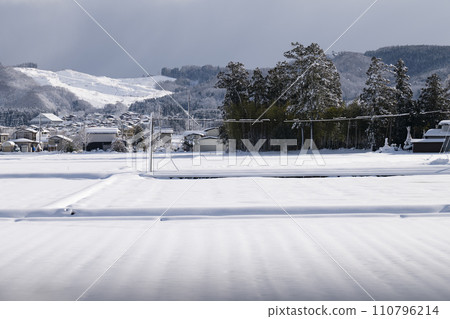 冬天的稻田 110796214