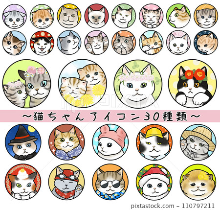 30 types of cat icons with various expressions 110797211