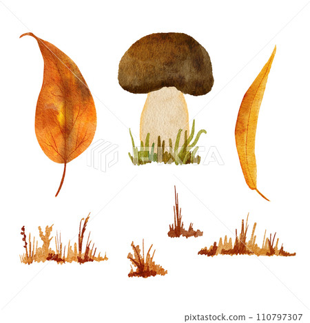 Hand drawn illustration of summer brown mushroom with grass herbs flowers. Fall autumn nature wood woodland forest, cute drawing fungus fungi wild poisonous edible shrooms. natural sketch. Hand drawn illustration of summer brown mushroom with grass herbs flowers. Fall autumn nature wood woodland forest, cute drawing fungus fungi wild poisonous edible shrooms. natural sketch. 110797307