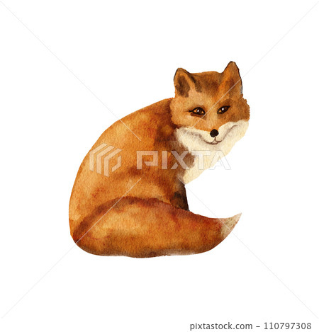 Hand drawn watercolor illustration with red wild fox on white isolated background. Wild wood woodland species nature, warn fall autumn print, orange fur fauna fluffy tail, kids nursery decor. Hand drawn watercolor illustration with red wild fox on white isolated background. Wild wood woodland species nature, warn fall autumn print, orange fur fauna fluffy tail, kids nursery decor. 110797308