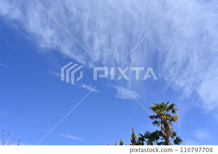 Beautiful clouds I encountered on my winter walk 110797708
