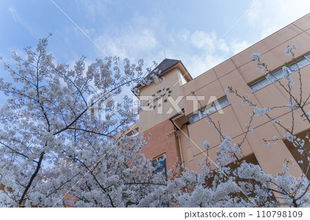 小櫻和學校 小櫻和學校 110798109