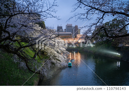 千鳥淵的夜櫻燈火通明 千鳥淵的夜櫻燈火通明 110798143