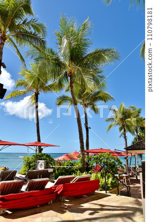 Holidays in Hawaii 110798181