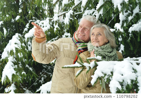 Happy senior couple walking in winter outdoors Happy senior couple walking in winter outdoors 110798202
