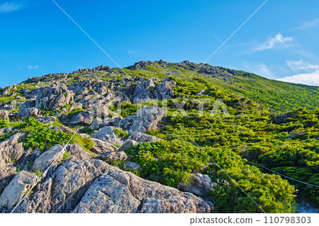 早根山 - 穿過小田越路線森林地帶的山路 110798303