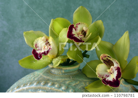 綠色蕙蘭花 綠色蕙蘭花 110798781