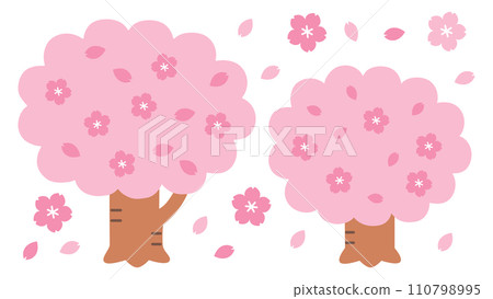 Cherry tree and petal 110798995