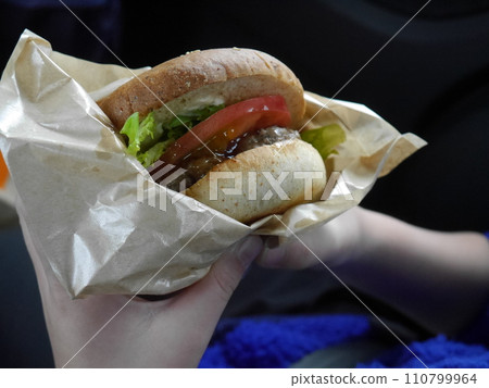 Hamburger with fresh vegetables 110799964