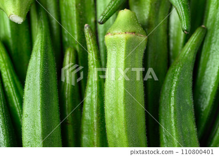 Fresh green okra pattern texture background, Organic vegetables Fresh green okra pattern texture background, Organic vegetables 110800401