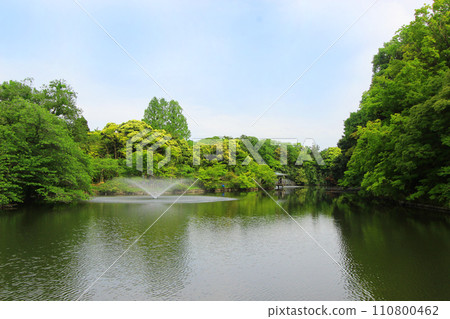 高岡老城堡公園 110800462