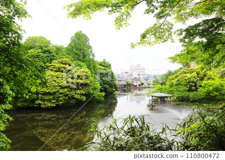 高岡老城堡公園 110800472