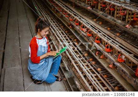 Asian women laying hen farmers work with a digital tablet Asian women laying hen farmers work with a digital tablet 110801148