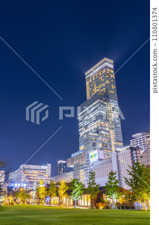 從天王寺公園十芝看到的阿倍野 Harukas 夜景 110801374