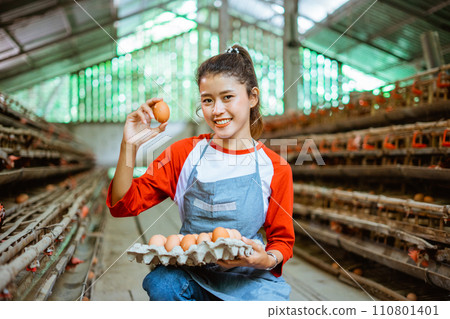 Beautiful Asian female farmer collecting eggs on a tray Beautiful Asian female farmer collecting eggs on a tray 110801401