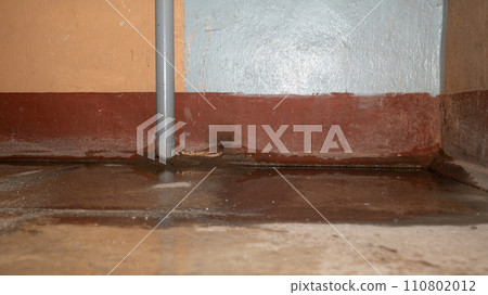 Flooding rainwater, causing damage, peeling paint and mildew. Flooding rainwater, causing damage, peeling paint and mildew. 110802012