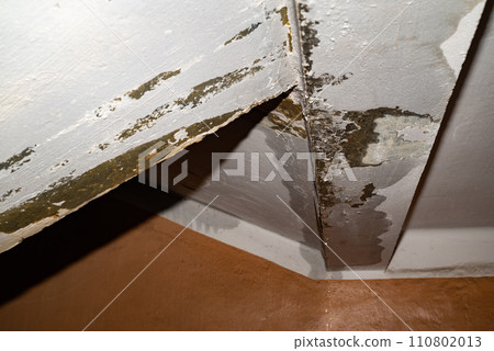 Flooding rainwater, causing damage, peeling paint and mildew. Flooding rainwater, causing damage, peeling paint and mildew. 110802013