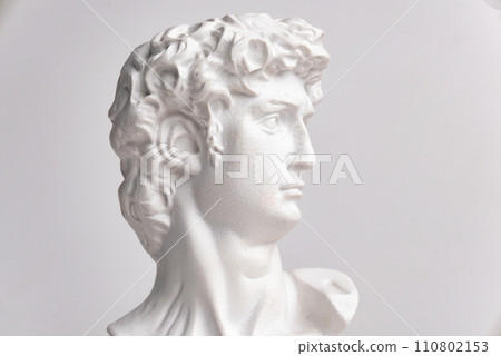 Statue. On a white isolated background. Gypsum statue of David's head. Man. Statue. On a white isolated background. Gypsum statue of David's head. Man. 110802153