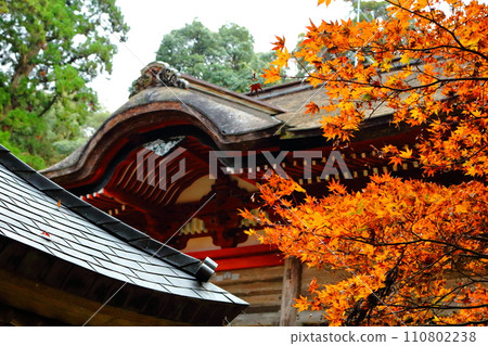 Wanibuchi Temple, a Tendai sect temple located in Bessho-cho, Izumo City, Shimane Prefecture 110802238