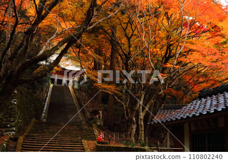 Wanibuchi Temple, a Tendai sect temple located in Bessho-cho, Izumo City, Shimane Prefecture 110802240