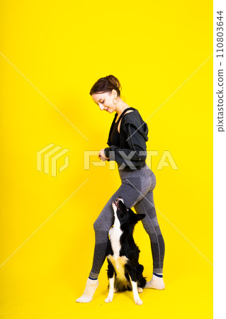 Beautiful female with border collie in studio, yellow and red background Beautiful female with border collie in studio, yellow and red background 110803644