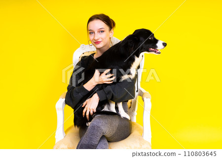 Beautiful female with border collie in studio, yellow and red background Beautiful female with border collie in studio, yellow and red background 110803645