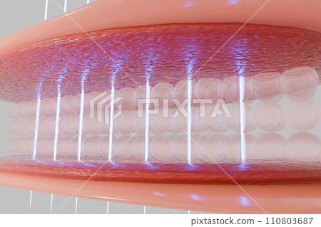 Laser shot through skin layer to collagen for Saggy skin and Facial treatment. 110803687