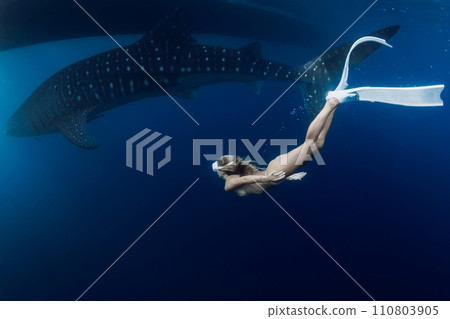 Slim woman swims with whale shark in ocean. Shark swimming underwater and beautiful lady diver 110803905