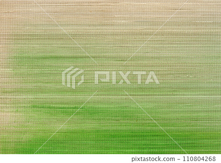 Bamboo mat 110804268