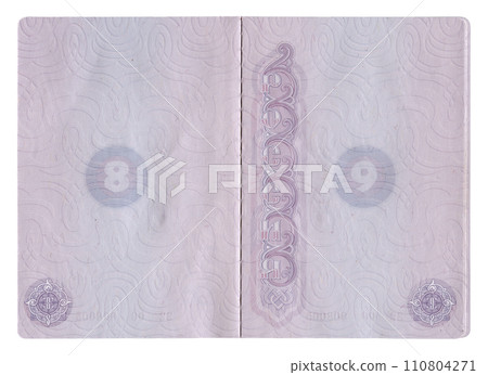 Passport pages 110804271