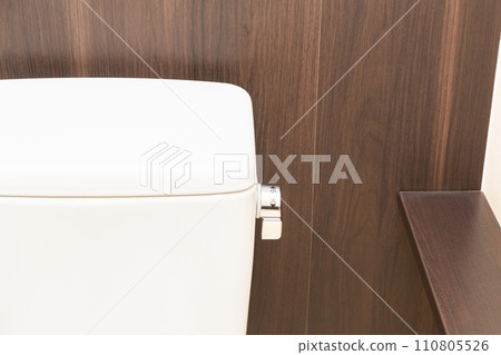 Toilet tank and flush lever 110805526