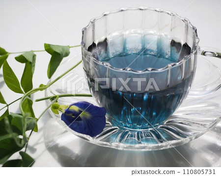 Blue herbal tea butterfly pea Blue herbal tea butterfly pea 110805731
