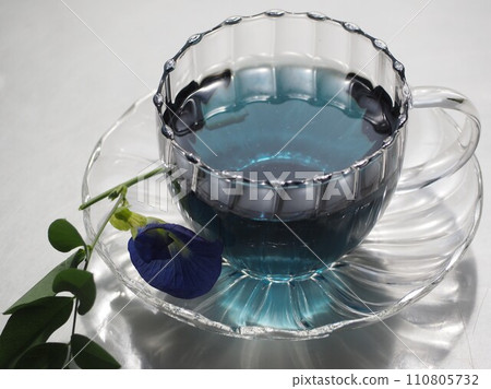 Blue herbal tea butterfly pea 110805732