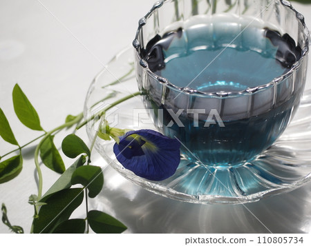 Blue herbal tea butterfly pea 110805734